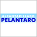 Alcantarillados Pelantaro