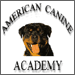 American Canine