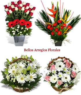 Bellos Arreglos Florales